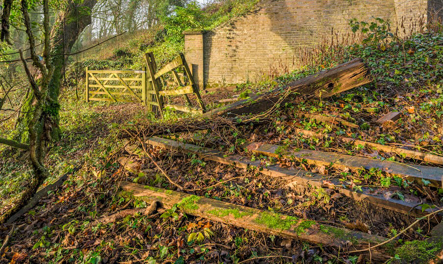  Going Going Gone- Low resolution © Mark Sterry-Blunt - Prints full resolution