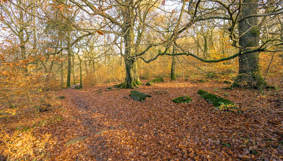 Long Reach - Low resolution © Mark Sterry-Blunt - Prints full resolution