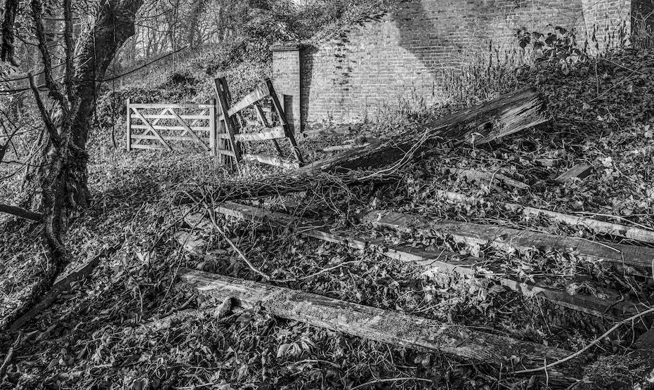 Going Going Gone BW - Low resolution © Mark Sterry-Blunt - Prints full resolution