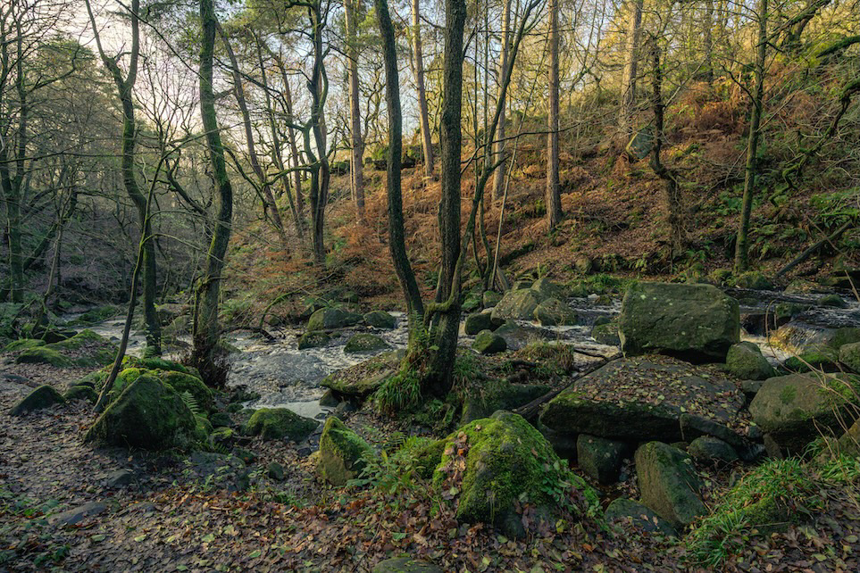 Shadow Creek - Low resolution © Mark Sterry-Blunt - Prints full resolution