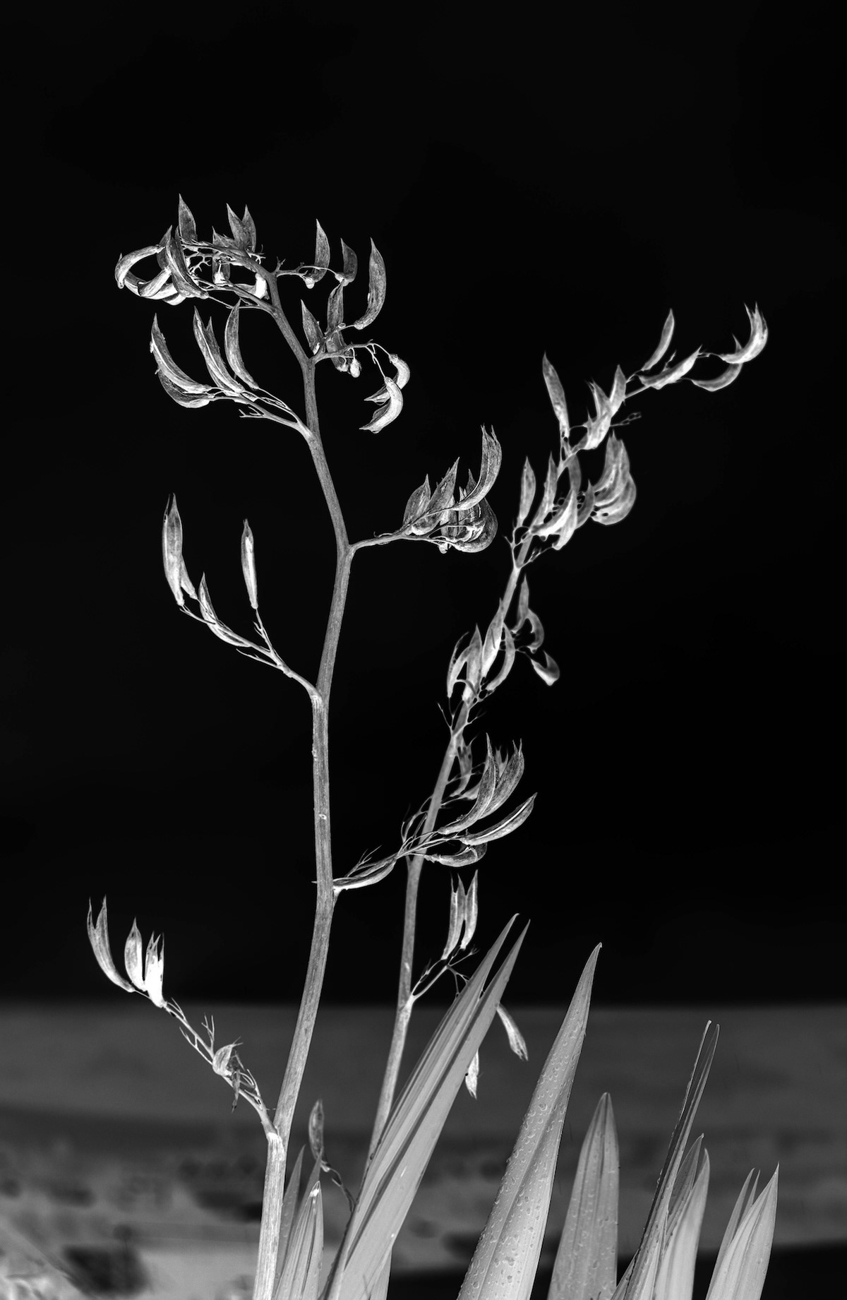 Uplit - Low resolution © Mark Sterry-Blunt - Prints full resolution