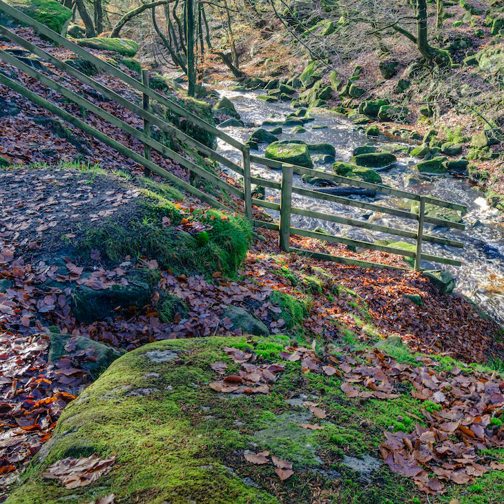Down to the Water - Low resolution © Mark Sterry-Blunt - Prints full resolution