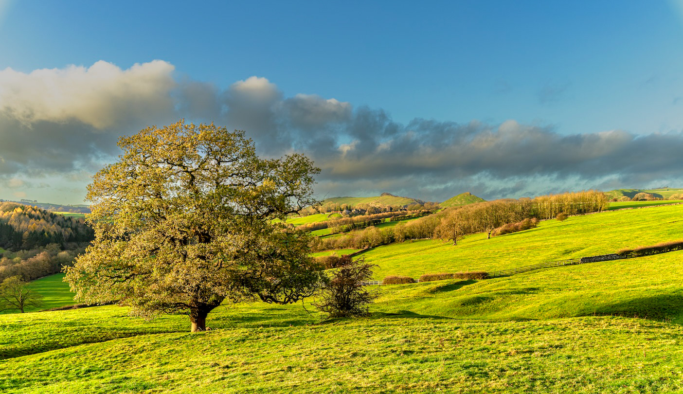 Cloud and Cloud - Low resolution © Mark Sterry-Blunt - Prints full resolution
