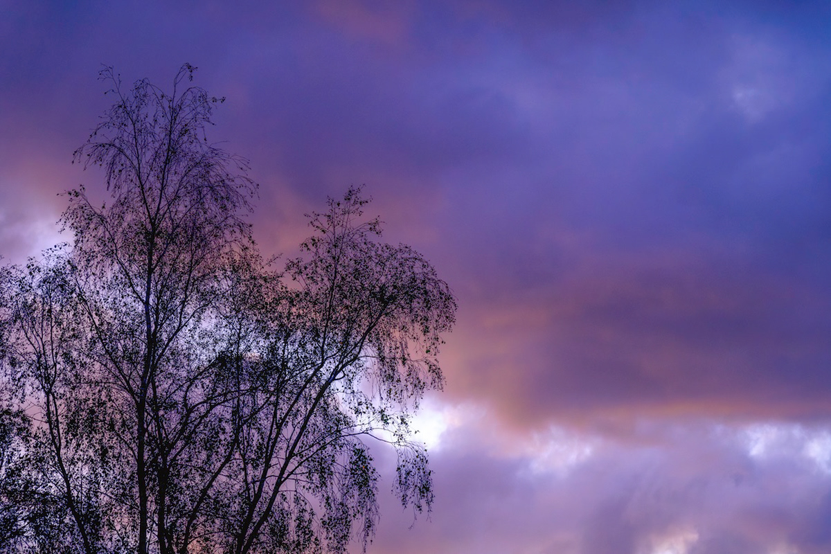 Evening Silhouette - Low Resolution © Mark Sterry-Blunt - Prints full resolution