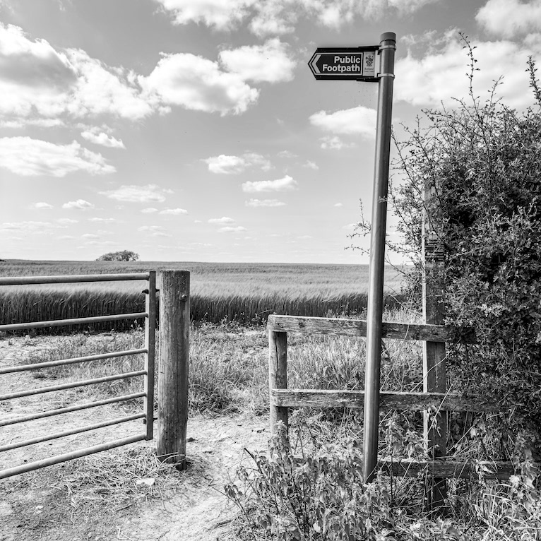 Vertically Challenged - Low resolution © Mark Sterry-Blunt - Prints full resolution