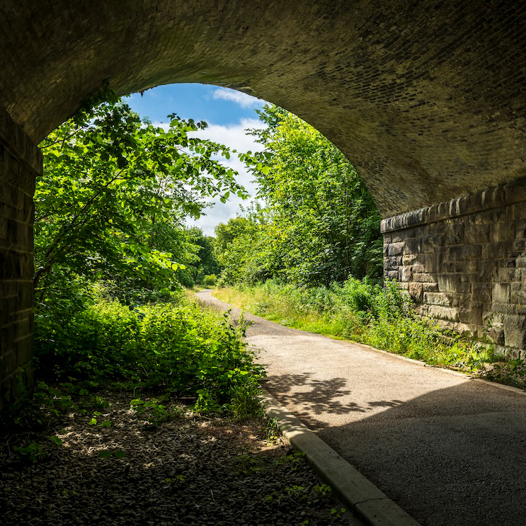 Cool - Low resolution © Mark Sterry-Blunt - Prints full resolution