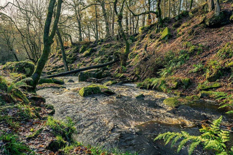 Natural Bridge - Low resolution © Mark Sterry-Blunt - Prints full resolution