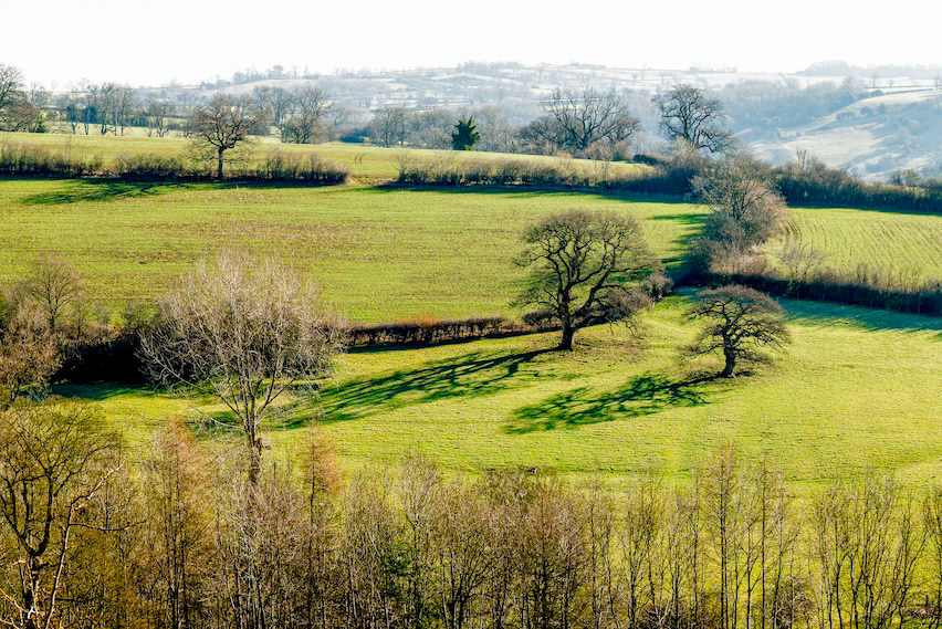 Skeletal Shadows - Low resolution © Mark Sterry-Blunt - Prints full resolution