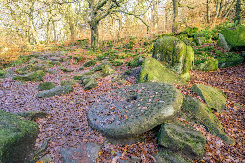 Not Wanted on Voyage - Low resolution © Mark Sterry-Blunt - Prints full resolution