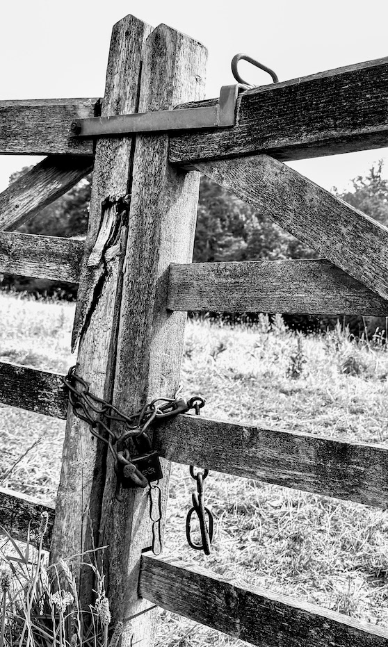 Contrasting Chains - Low resolution © Mark Sterry-Blunt - Prints full resolution