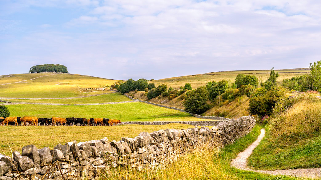 Path and Pasture - Low resolution © Mark Sterry-Blunt - Prints full resolution