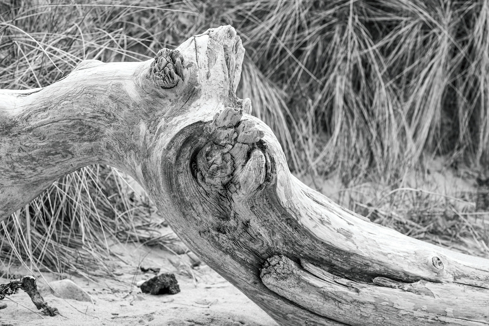 Well Travelled - Low resolution © Mark Sterry-Blunt - Prints full resolution