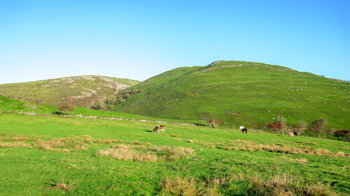 Gently Does It -  Low resolution © Mark Sterry-Blunt - Prints full resolution