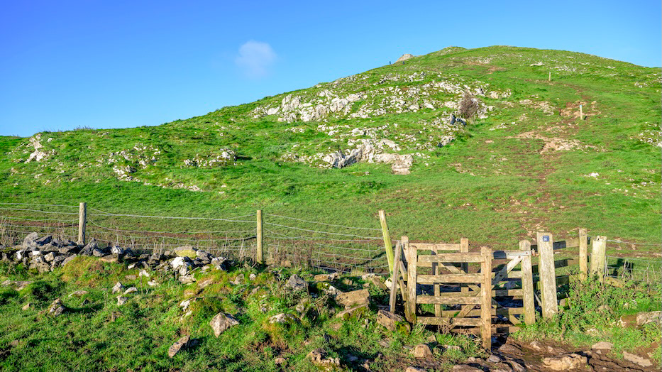 To Swing or Not to Swing - Low resolution © Mark Sterry-Blunt - Prints full resolution