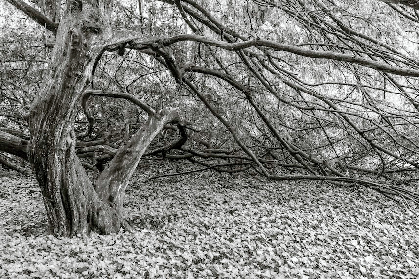 Feeling Fingers - Low resolution © Mark Sterry-Blunt - Prints full resolution