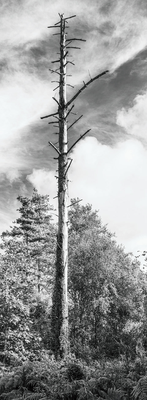 That was a Blast - Low resolution © Mark Sterry-Blunt - Prints full resolution