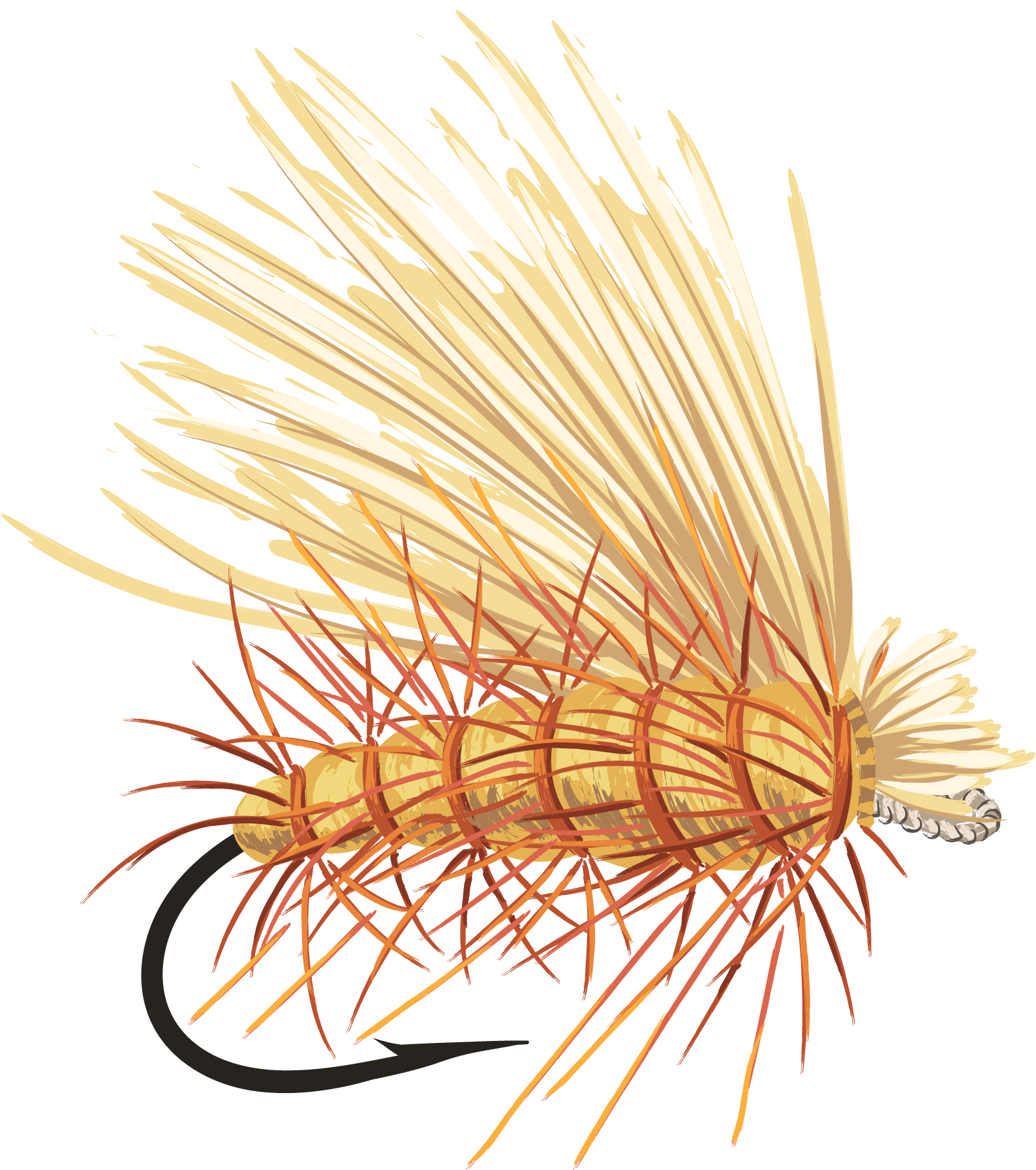 Caddis Fly