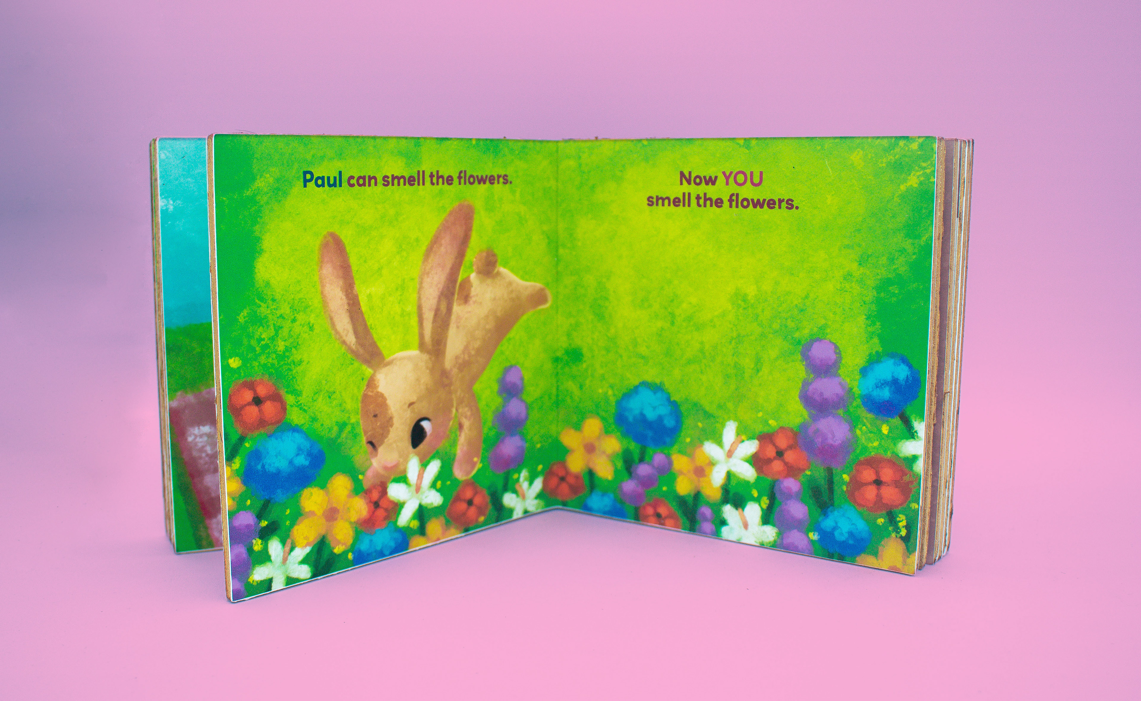 Custom, detailed illustration throughout the book.