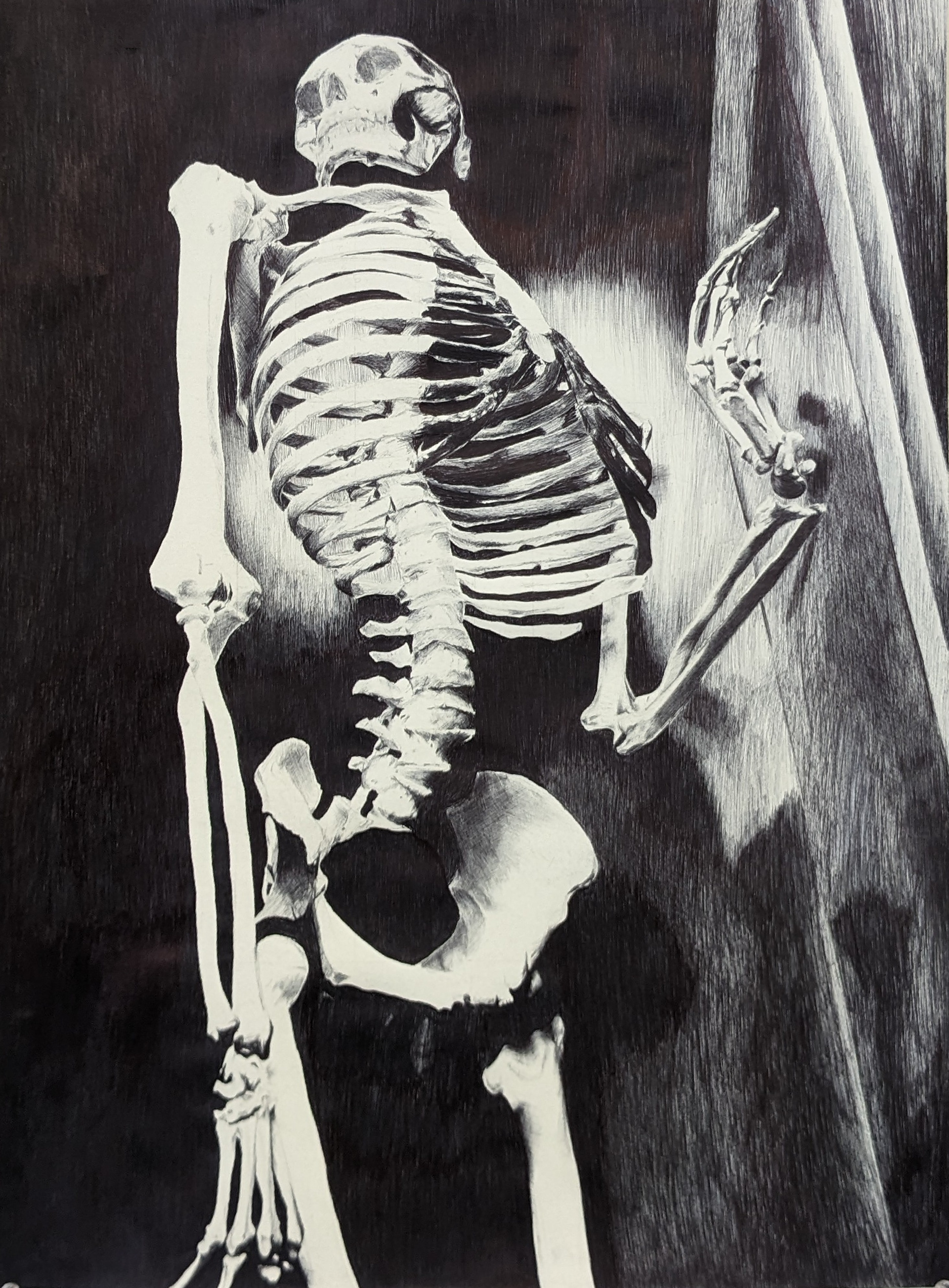 Drawing I--Conceptual Drawing (ballpoint pen)