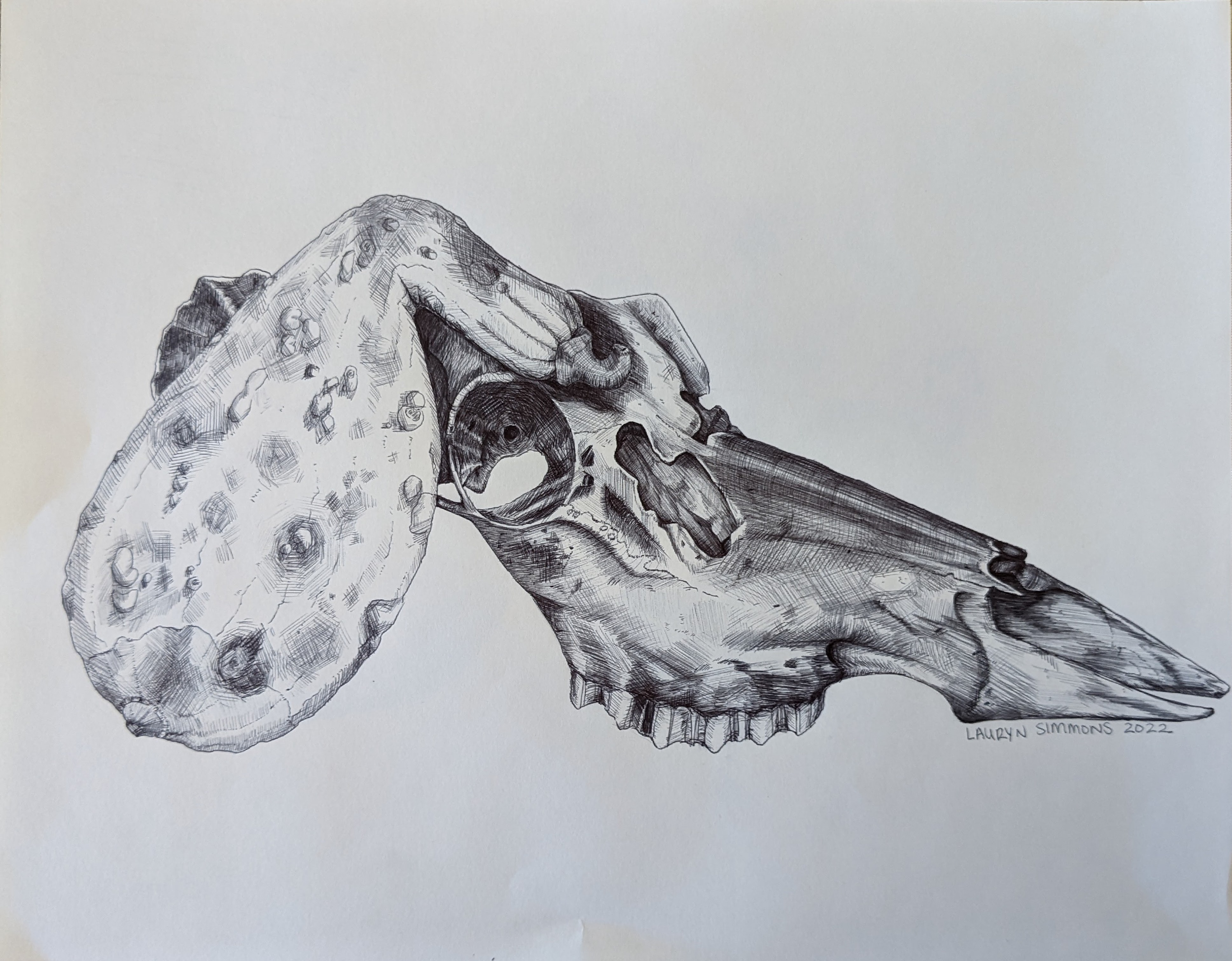 Drawing I--Hatching/Crosshatching (ballpoint pen)