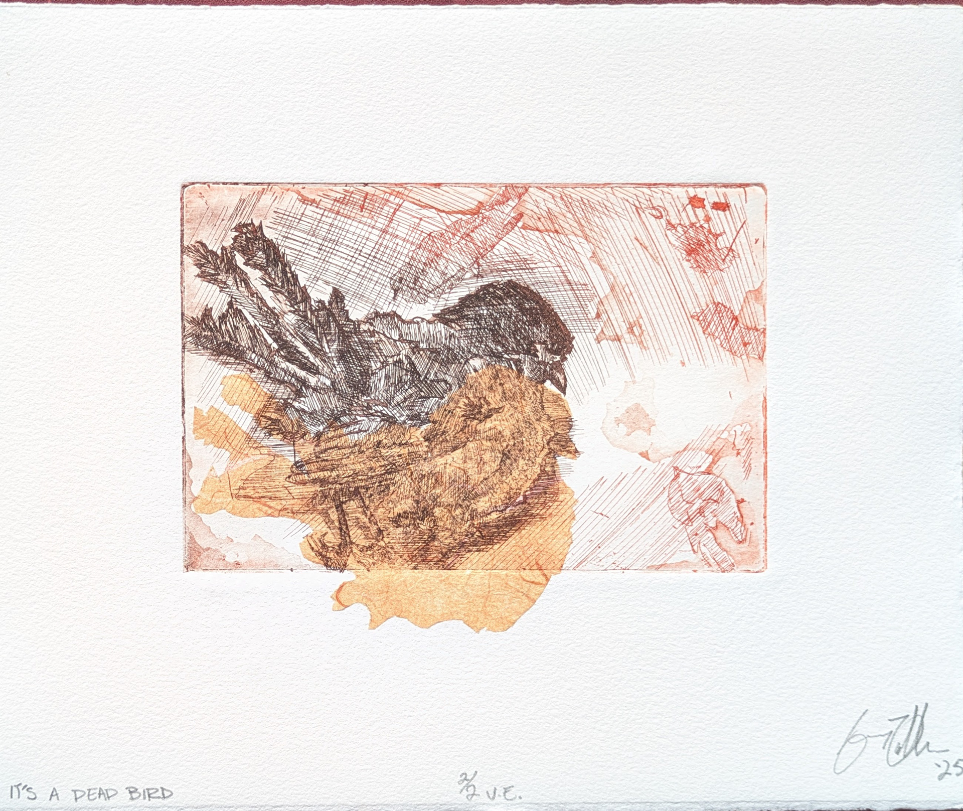 It's a Dead Bird, 1/2 V.E., Intaglio Etching with Chine Collé, 10'' x 8'', 2025