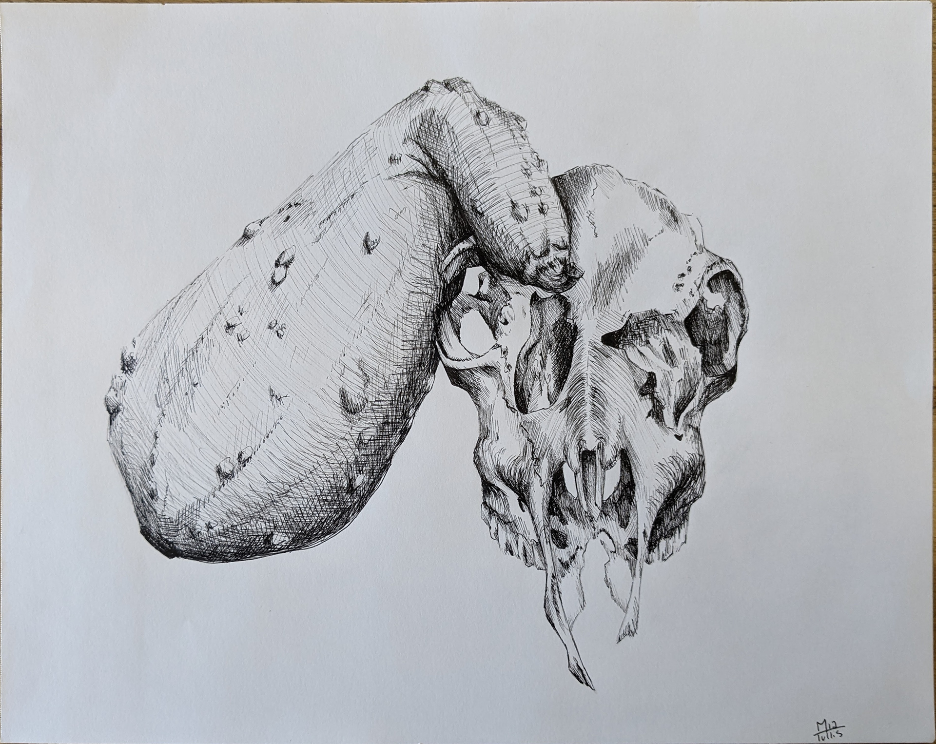 Drawing I--Hatching/Crosshatching (ballpoint pen)