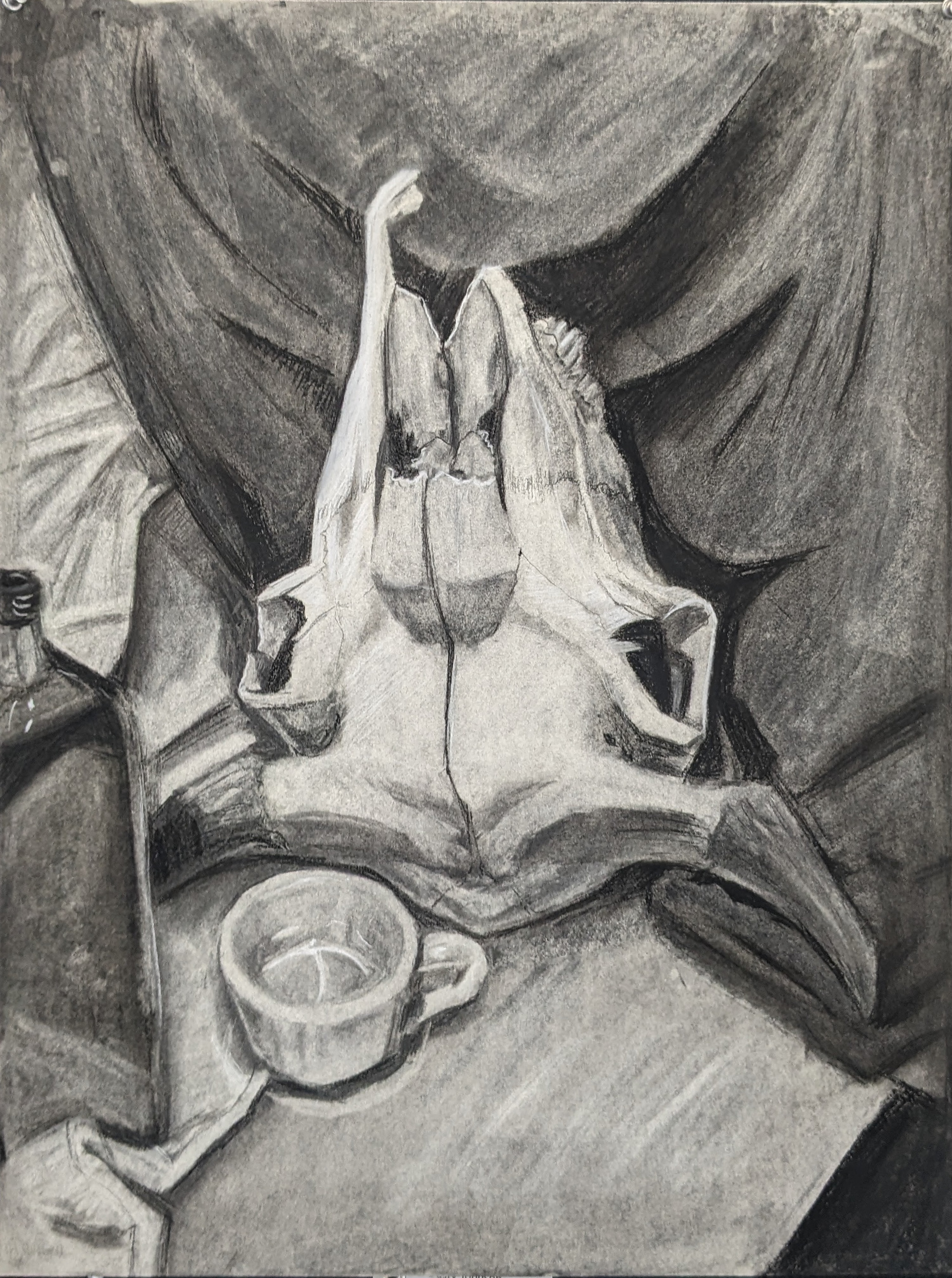 Drawing II--Charcoal