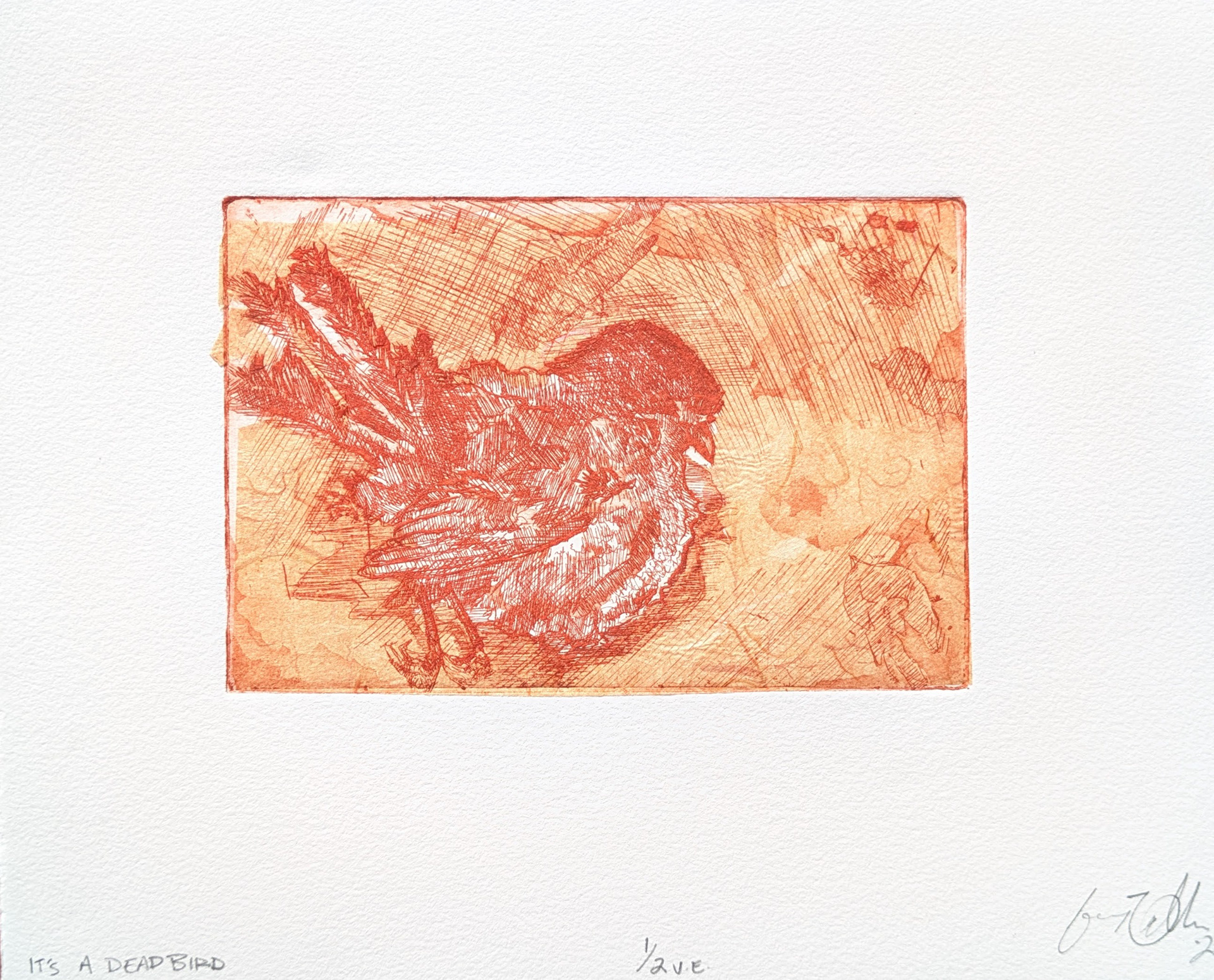 It's a Dead Bird, 1/2 V.E., Intaglio Etching with Chine Collé, 10'' x 8'', 2025