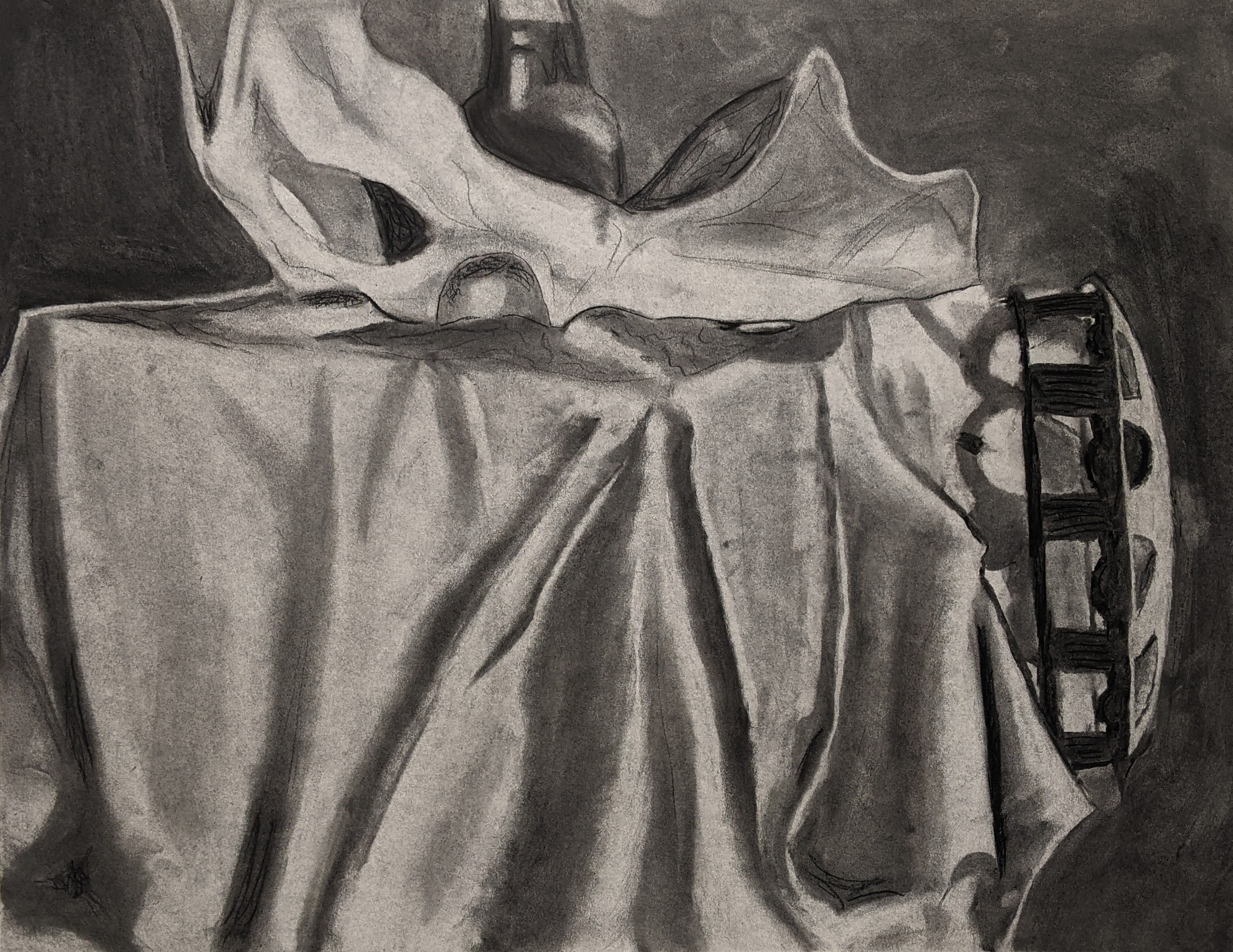 Value & Texture-Charcoal