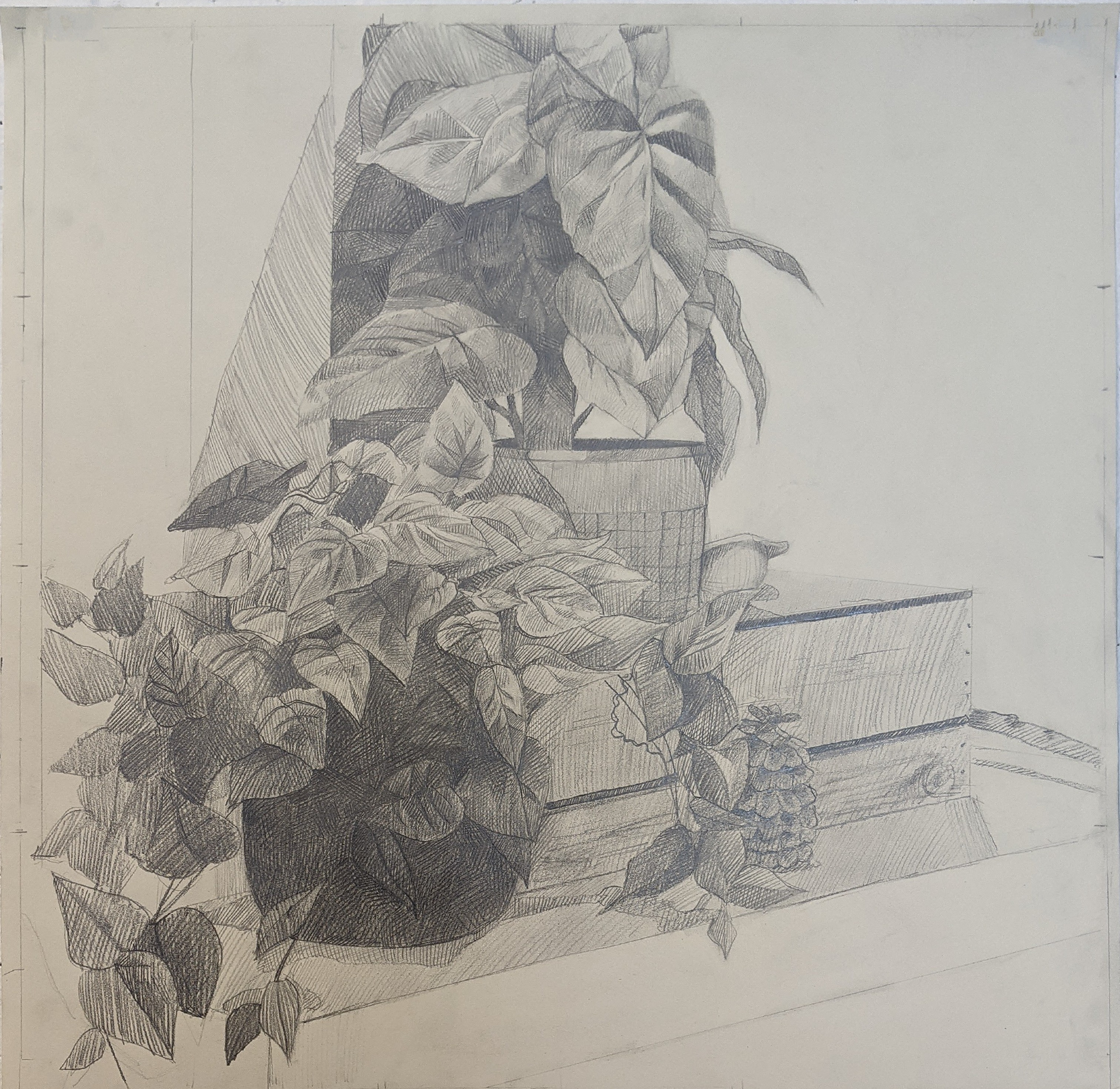 Value & Texture with Line-Graphite
