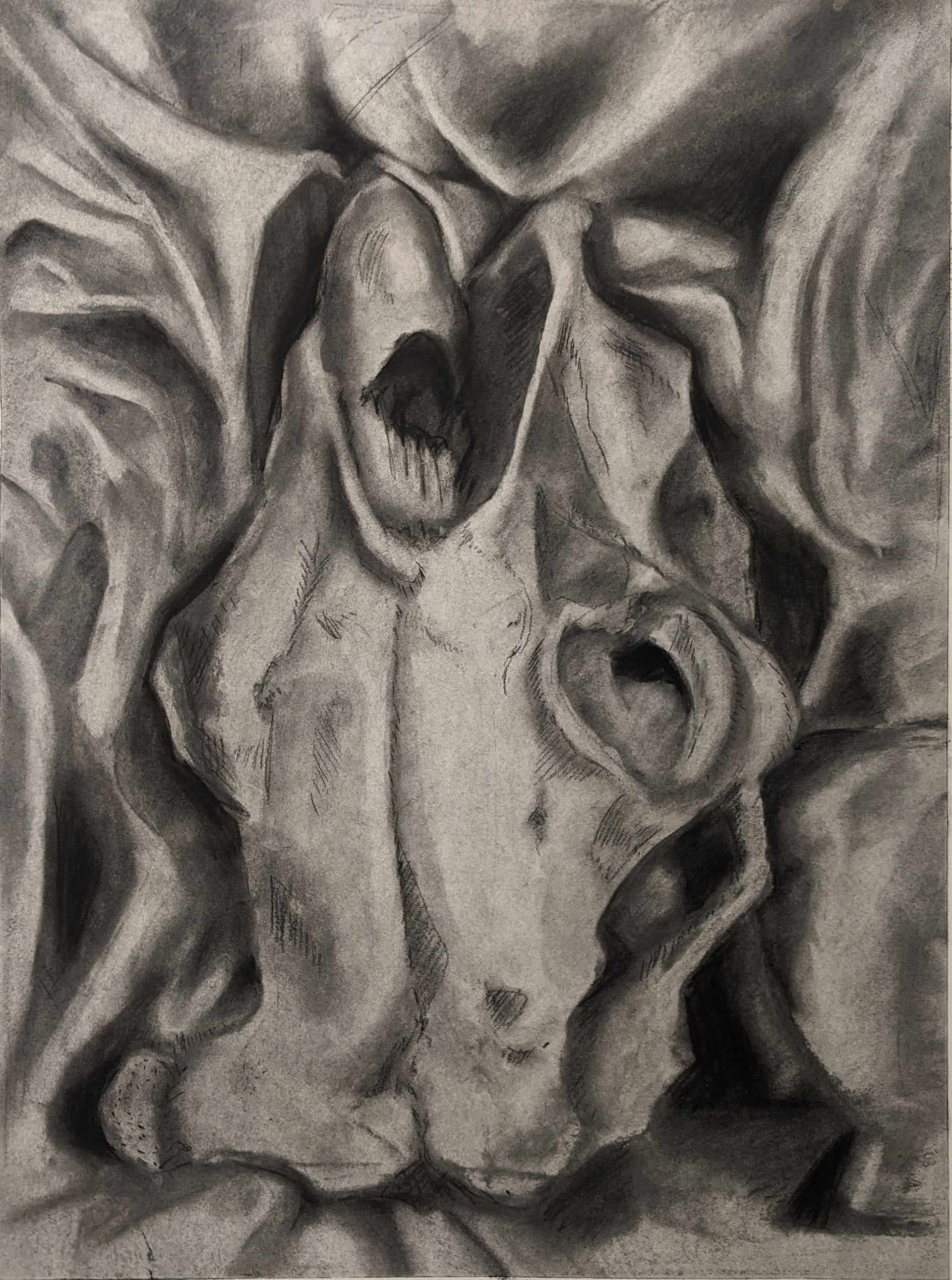Value & Texture-Charcoal