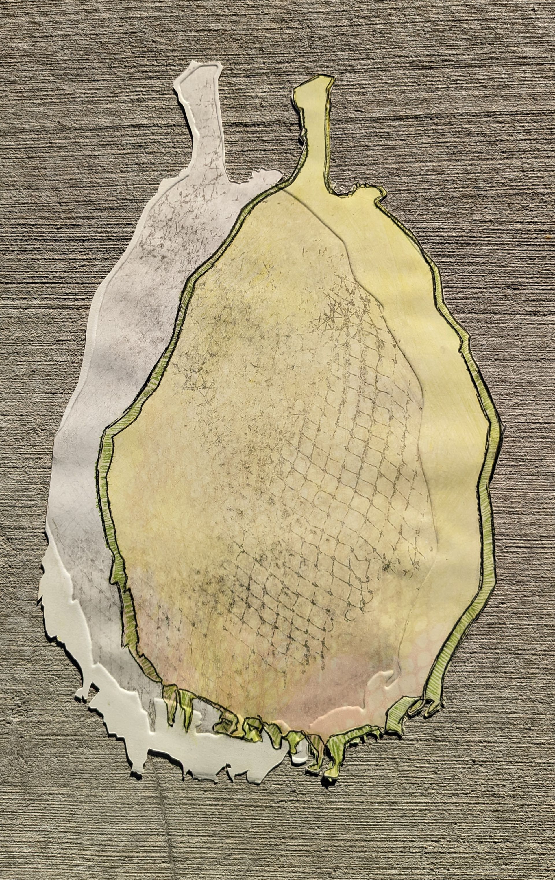 22'' x 30'', intaglio-based monotype with charcoal, pastel, and oil stick, 2021