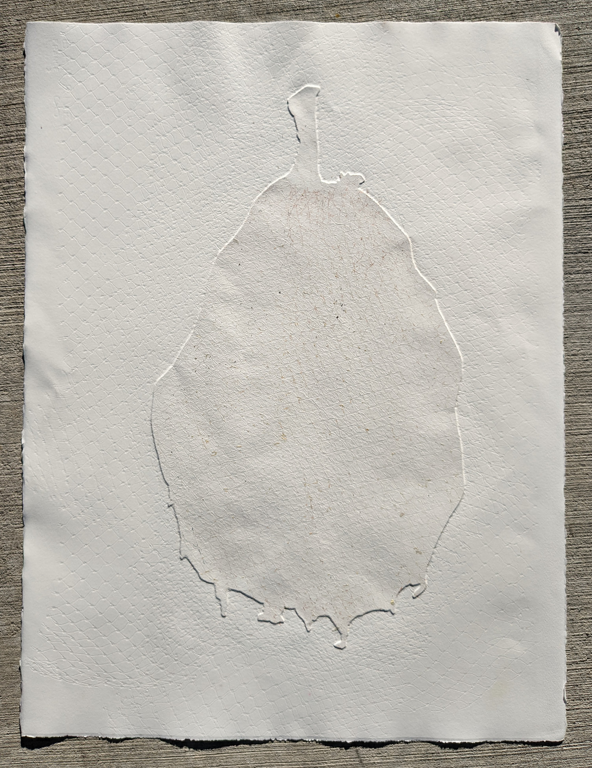 22'' x 30'', intaglio plate embossment, 2021