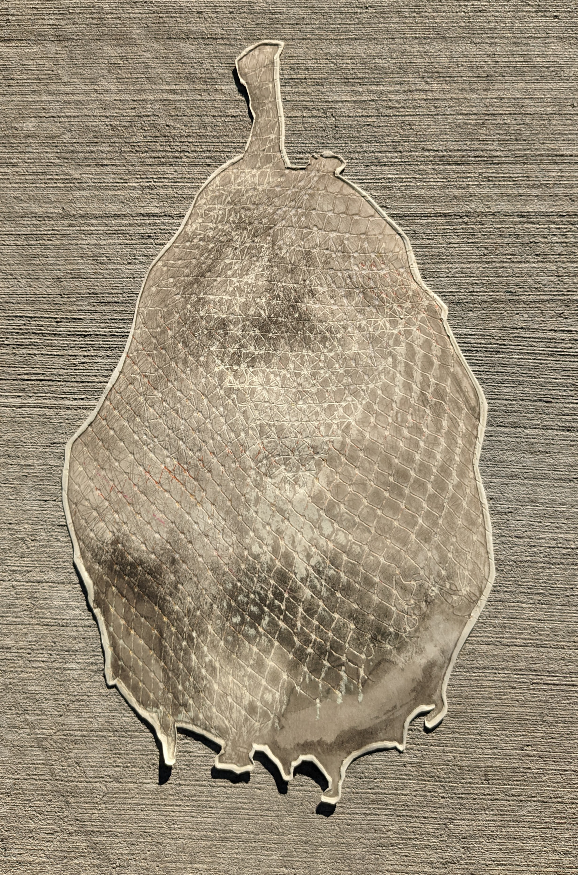 22'' x 30'', intaglio-based monotype with pastel, 2021
