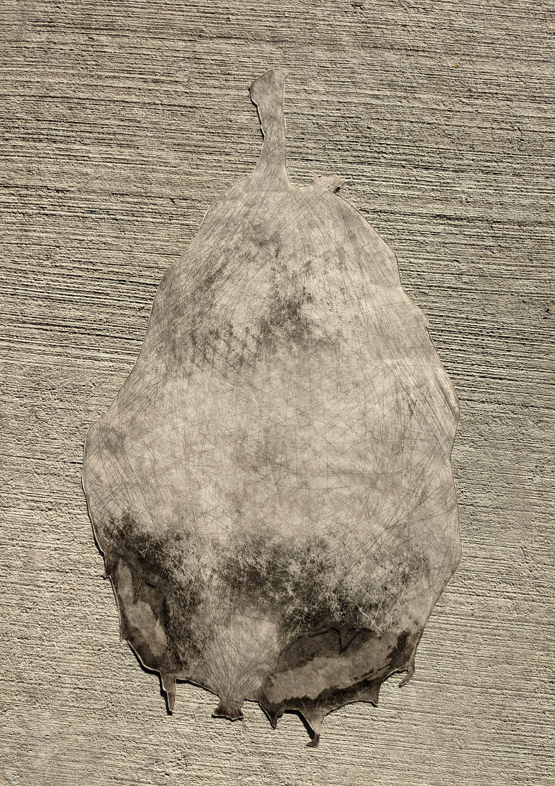 22'' x 30'', intaglio-based monotype, 2021