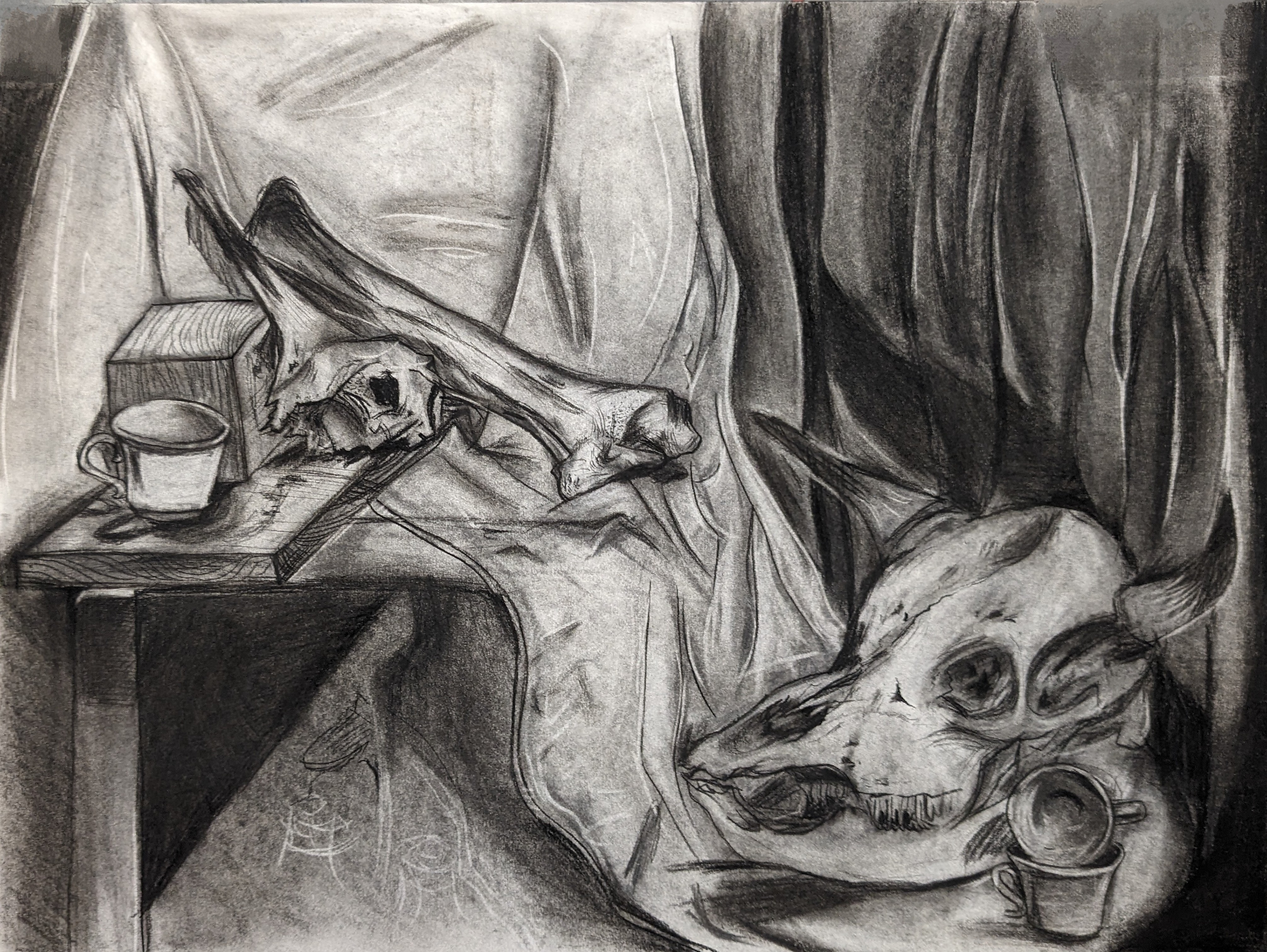 Drawing I--Charcoal Still Life