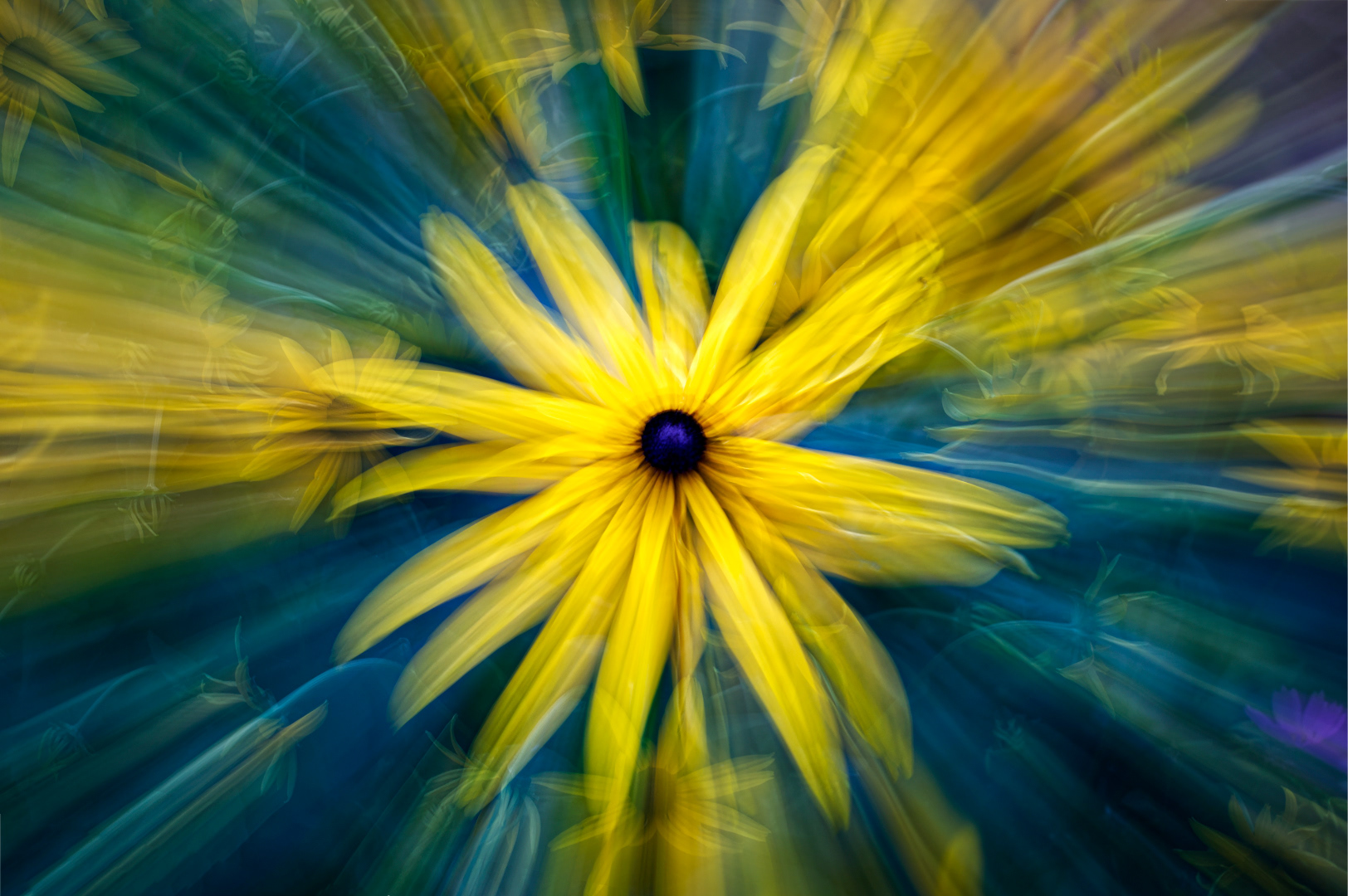 68 - Dans un monde flou, les fleurs sont reines #6