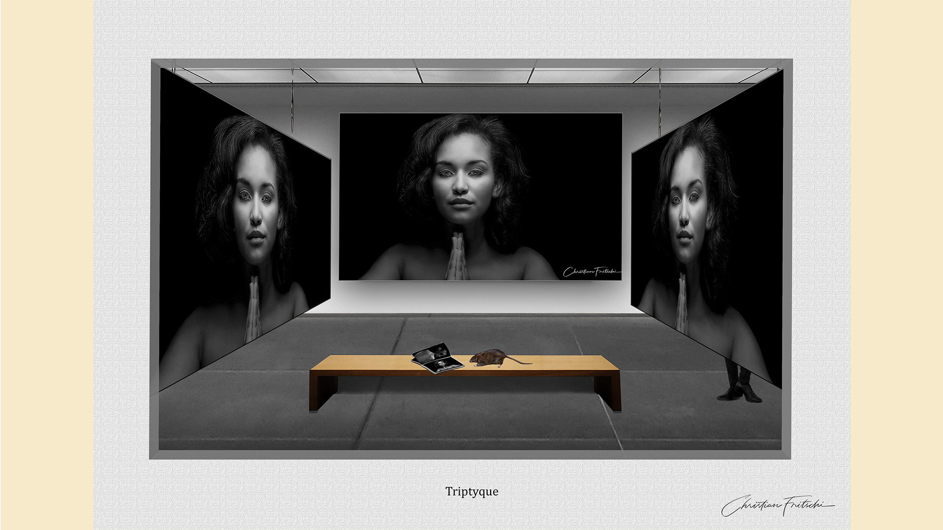 147-Triptyque