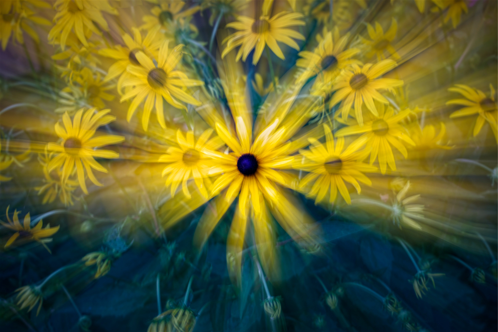 69 - Dans un monde flou, les fleurs sont reines #7