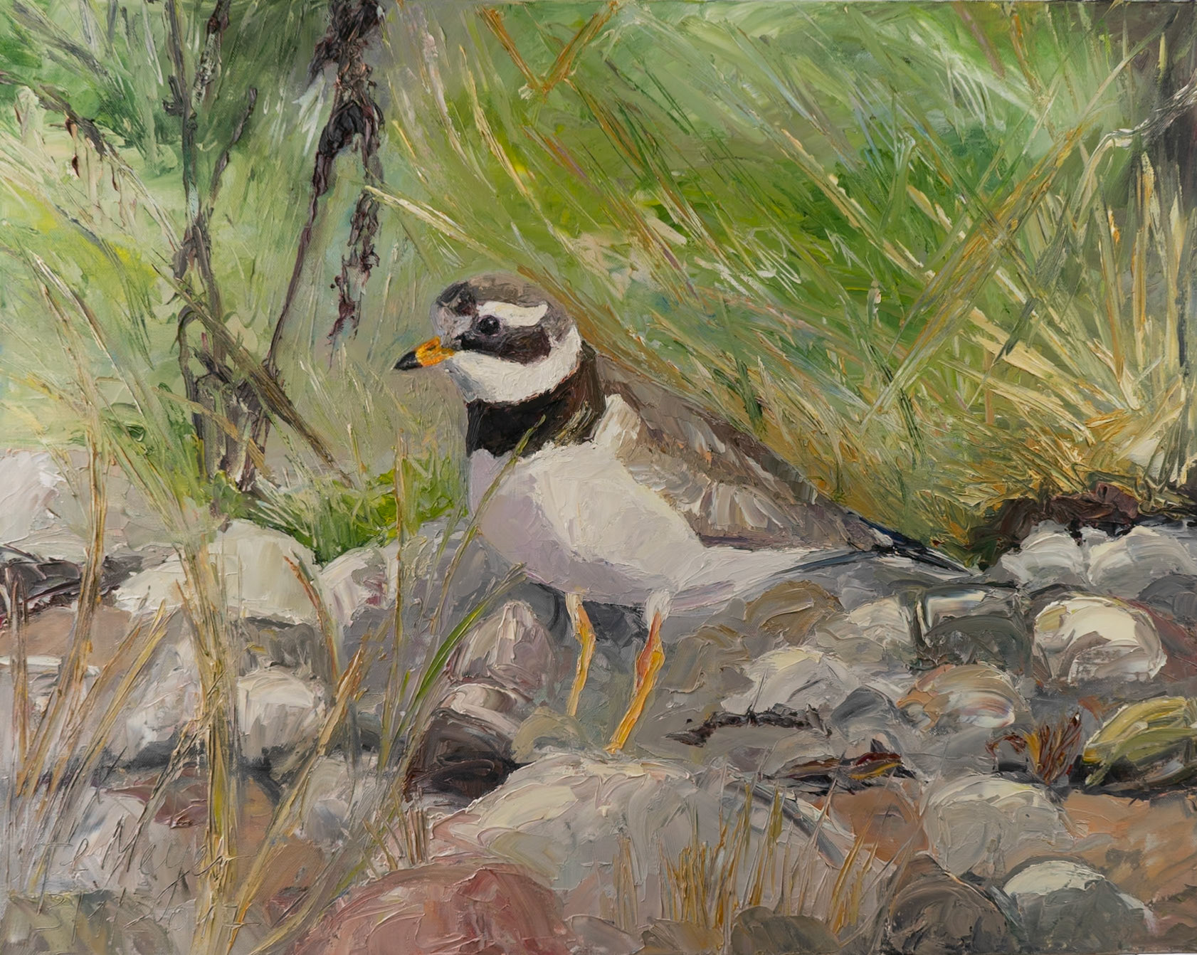 Great ringed plower 3/1/2017 oil on canvas 80x100 cm