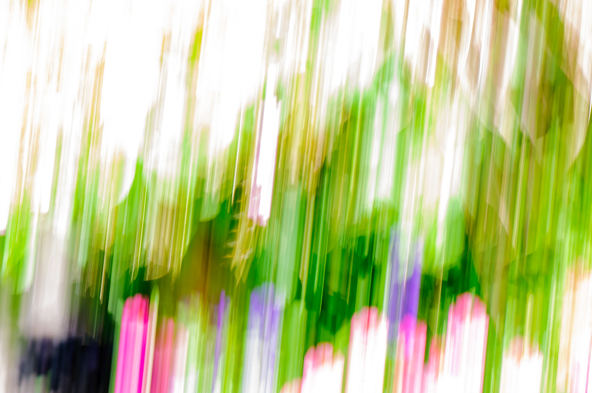 Jardin D. A. Séguin