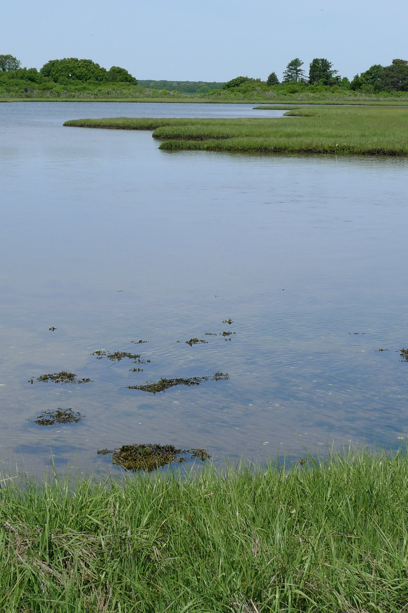 Martha's Vineyard