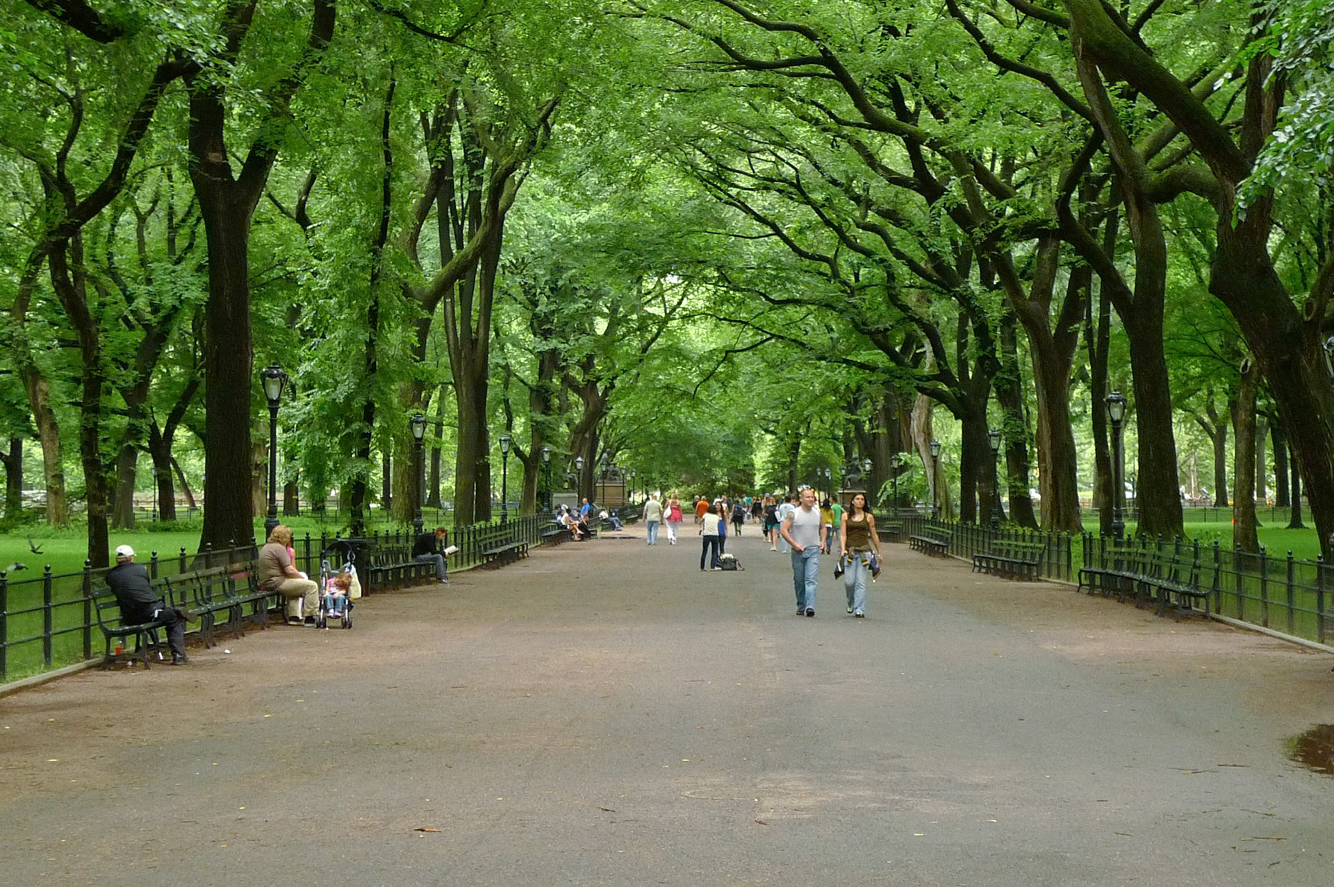 Central Park
