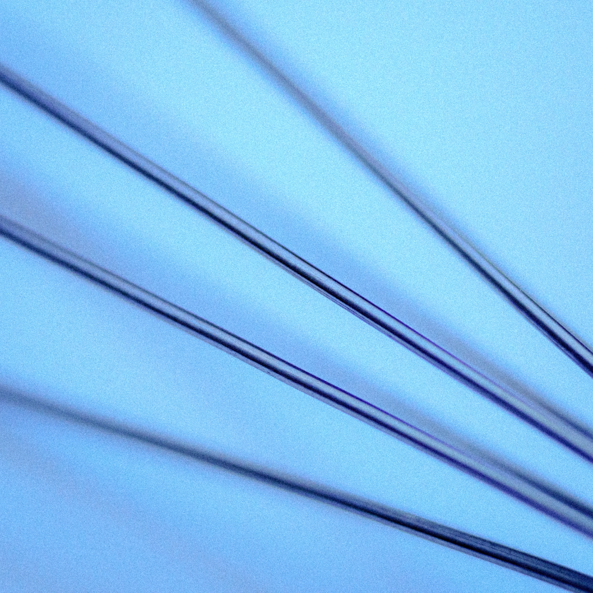 Day 11: The Lines of Time - those that converge; those that cross.