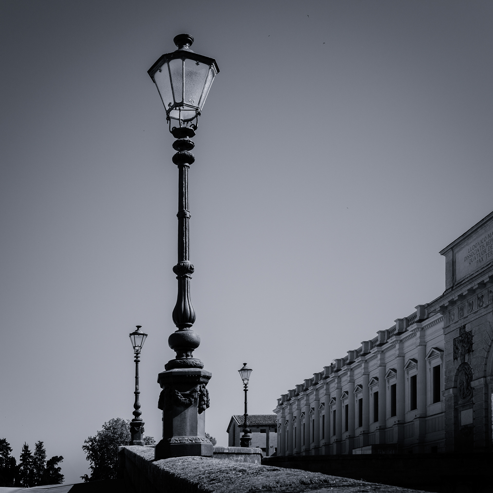 Day 12: The Echo - Reflections of a missing person.