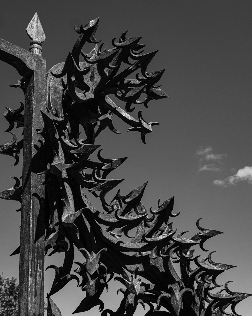 Spiky Fence Detail, Montpellier