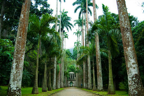 Jardim Botânico, Rio De Janeiro, Brazil