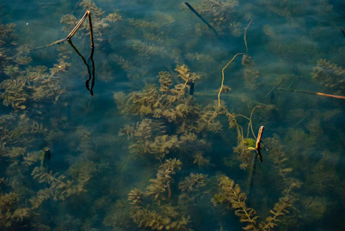 Xi Lake, China