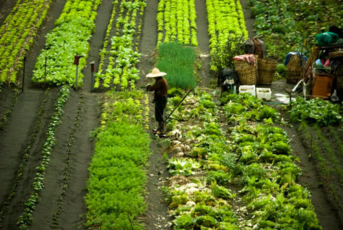 Taiwan