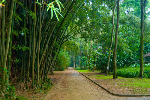 Jardim Botânico, Rio De Janeiro, Brazil